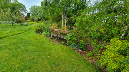 Bench in a lush green garden
