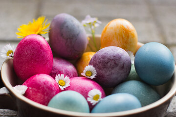 Easter colored eggs (blue, pink, purple, yellow) with flowers (dandelions and daisies) in a bowl, close up