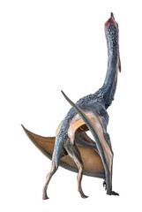 The Pterosaur , dinosaur on  isolated background