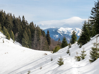 winter landscape in bucegi national park, romania	
