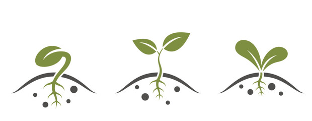 sprout icon set. Plant growth, seed germination, planting and seedling symbol
