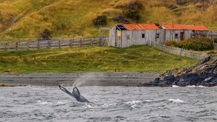 Beagle Channel, Ushuaia, Argentina © Paul James Bannerman