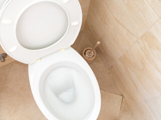 A toilet bowl with a plunger next to it