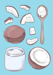 Coconut related collection vector illustration
