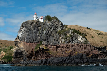 Fototapeta na wymiar Lighthouse at Taiaroa Head, Dunedin, New Zealand