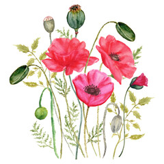 poppies arrangement