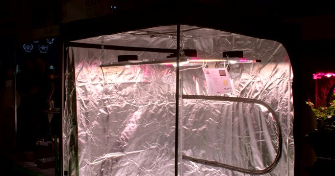 Grow box with purple LED. Cannabis tech to make growing weed easier. 5.11.2022 Beranovych 667, Prague, Czech Republic