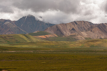 Denali Park, Alaska, USA - July 25, 2011: Wide landscape offers green tundra in front of gray-brown...
