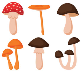 Cartoon mushrooms. Poisonous and edible mushroom, chanterelle, cep, amanita and truffle isolated vector illustration set. Forest wild mushrooms types. Organic porcini and chanterelle, poisonous fungus