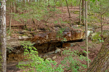 Rock cliff in a forest
