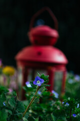 lantern in the park