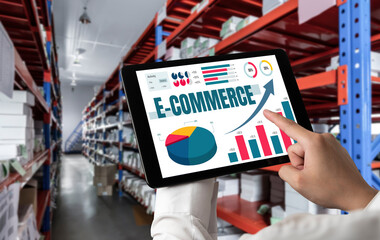 E-commerce data software provide modish dashboard for sale analysis to the online retail business