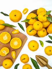 Orange fruit with green leaves on the white background. Home gardening. Mandarine oranges. Tangerine oranges. Orange color. Fresh orange juice.