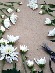 Flowers composition. Frame made of white flowers on brown background. Flat lay, top view, copy space