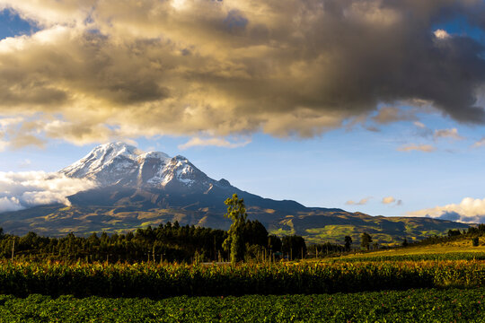 nevado chimborazo visto desde unos campos sembrados en san andres 