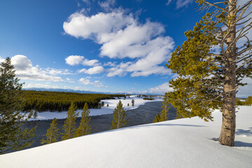 Winter at Yellowstone National Par Wyoming and Montana