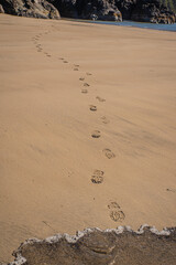 Footprints in the sand
