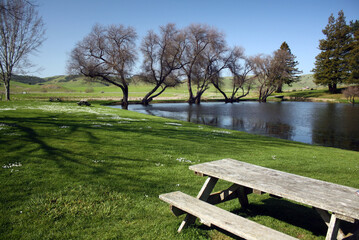 Picnic table in the park by a pond