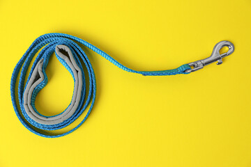 Blue dog leash on yellow background, top view - obrazy, fototapety, plakaty