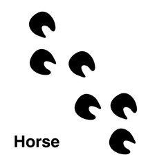 Naklejka premium Horse paw illustration, animal paw print isolated on white background.eps