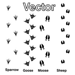 Tracks of wild animals and birds. Paw print. Isolated icons on white background.