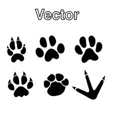  Tracks of wild animals and birds. Paw print. Isolated icons on white background.