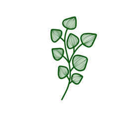 green leaf isolated 