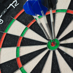 Triple Bullseyes in Steel Tip Dartboard red, black, green and white sections.