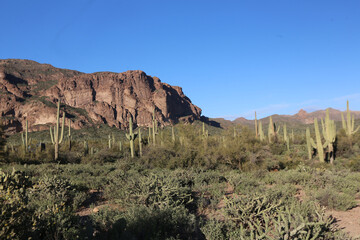 Arizona