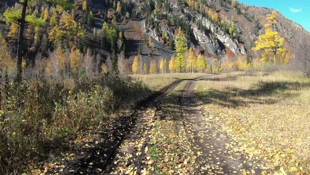 Video of driving along muddy mountain road along Altai river Kumir in Autumn.
