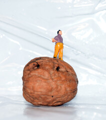 Walnuss - mit darauf stehendem Mann ~ Miniatur Figur - Diorama Miniwelt