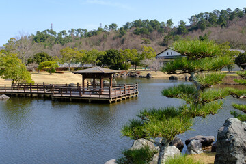 福井県敦賀市総合運動公園の池