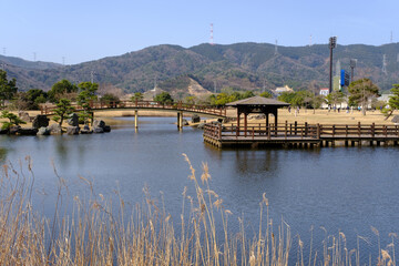 福井県敦賀市総合運動公園の池
