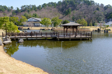 Fototapeta premium 福井県敦賀市総合運動公園の池