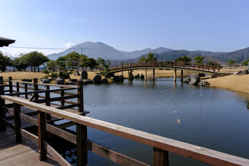 福井県敦賀市総合運動公園の池