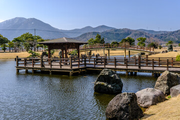 福井県敦賀市総合運動公園の池