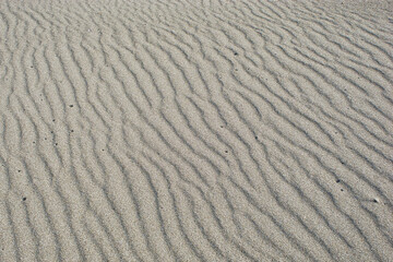 砂紋、風紋