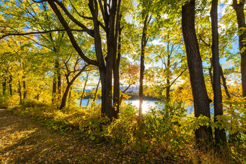 Fototapeta premium Fall autumn colors overlooking the Mississippi River