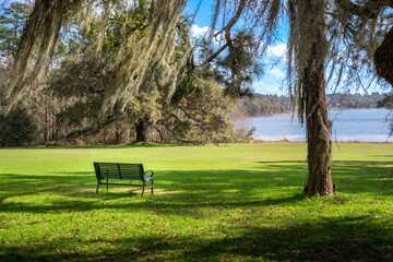 Empty park bench overlooking grass field on the shore of a blue lake in Maclay Botanical Gardens Tallahassee, Florida