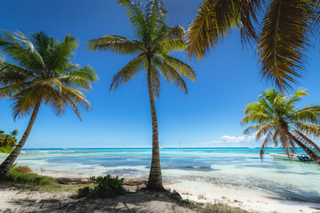 Obraz na płótnie Canvas Boats and tropical beach in caribbean sea, Saona island, Dominican Republic