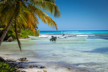 Boats and tropical beach in caribbean sea, Saona island, Dominican Republic