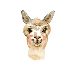 Watercolor card with llama. Hand painted beautiful illustration with animal isolated on white background. For design, print, fabric or background © Natali_Mias
