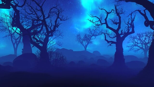 Northern lights over dark forest