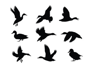 Obraz na płótnie Canvas duck silhouette set in variety pose