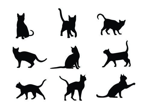 cat silhouette set in variety pose