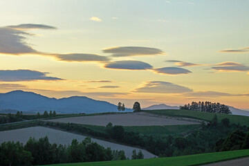夕暮れの丘（美瑛町）