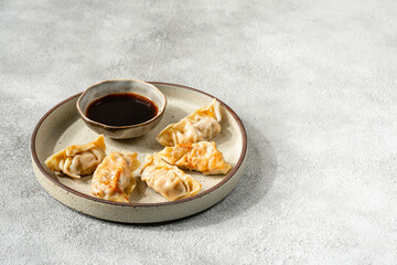 Grilled Gyoza or jiaozi fried stuffed dumplings, negative space.