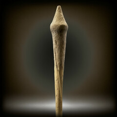 Impresionante imagen de la prehistoria para utilizar como fondo de escritorio, lienzo, puzle, en tus estudios... © JUANRAMON