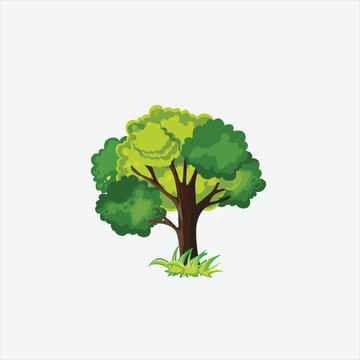 Realistic Trees Isolated on White Background.