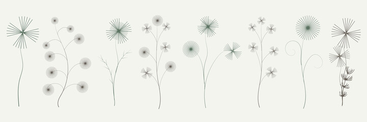 Flower branches for logo or decoration. Natural elements of stylish decor. Minimalistic wedding flowers, grass and leaves for invitation, save the date card. Hand drawing.